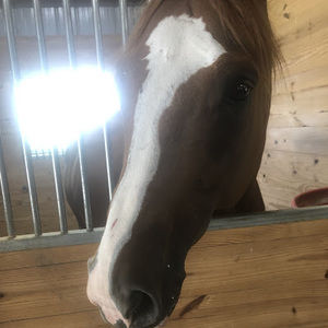 Meet your Posher, Kee